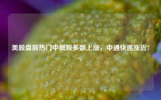 美股盘前热门中概股多数上涨，中通快递涨近7%