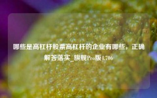 哪些是高杠杆股票高杠杆的企业有哪些，正确解答落实_旗舰Pro版4.706