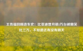 王传福回顾造车史：比亚迪曾月销3万台被嘲笑比三万，不知道还有没有明天