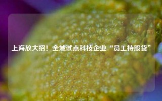 上海放大招！全域试点科技企业“员工持股贷”