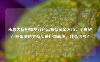 私募大佬密集发行产品筹备资金入市，宁泉资产杨东减持券商买进巨量转债，什么信号？