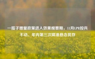 一揽子增量政策进入效果观察期，11月LPR按兵不动、年内第三次降准悬念犹存