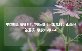 中国能股票杠杆吗中国a股可以加杠杆，正确解答落实_旗舰Pro版4.642