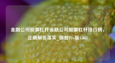 金融公司股票杠杆金融公司股票杠杆排行榜，正确解答落实_旗舰Pro版4.663