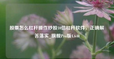 股票怎么杠杆操作炒股10倍杠杆软件，正确解答落实_旗舰Pro版4.640