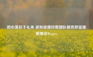 担心落后于礼来 诺和诺德印度团队据悉敦促提前推出Wegovy