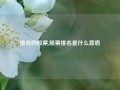 排名的股票,股票排名是什么意思