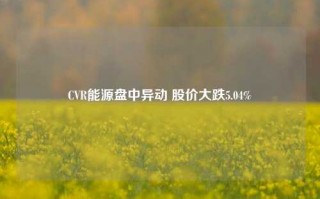 CVR能源盘中异动 股价大跌5.04%