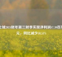 宾士域2024财年第三财季实现净利润47.30百万美元，同比减少58.51%