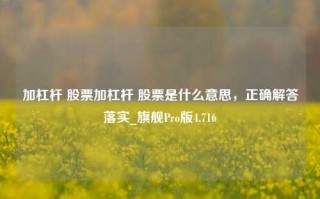 加杠杆 股票加杠杆 股票是什么意思，正确解答落实_旗舰Pro版4.716