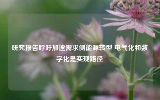 研究报告呼吁加速需求侧能源转型 电气化和数字化是实现路径