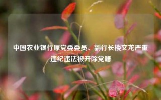 中国农业银行原党委委员、副行长楼文龙严重违纪违法被开除党籍