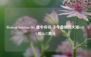 Element Solutions Inc.盘中异动 下午盘股价大涨6.62%报26.27美元