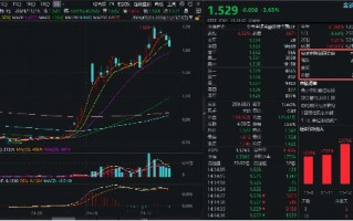 金融科技跳水下挫，同花顺领跌超12%，金融科技ETF（159851）下挫超3%，资金实时申购超2亿份