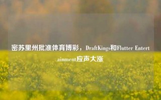 密苏里州批准体育博彩，DraftKings和Flutter Entertainment应声大涨