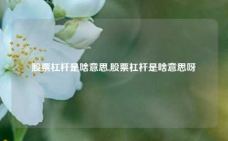 股票杠杆是啥意思,股票杠杆是啥意思呀