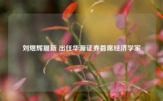 刘煜辉履新 出任华源证券首席经济学家