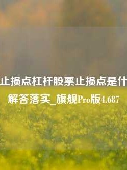 杠杆股票止损点杠杆股票止损点是什么，正确解答落实_旗舰Pro版4.687