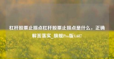 杠杆股票止损点杠杆股票止损点是什么，正确解答落实_旗舰Pro版4.687