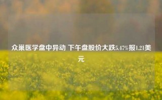 众巢医学盘中异动 下午盘股价大跌5.47%报1.21美元