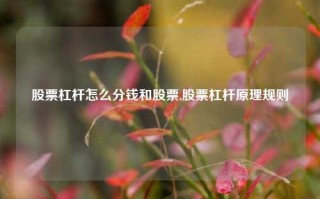 股票杠杆怎么分钱和股票,股票杠杆原理规则