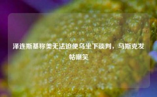 泽连斯基称美无法迫使乌坐下谈判，马斯克发帖嘲笑