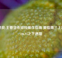 田洪良:主要货币短线操作指南 美指周三上涨在106.95之下遇阻