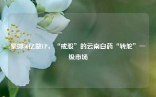 豪掷50亿做LP，“戒股”的云南白药“转舵”一级市场