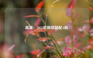 高盛：2025年继续超配A股