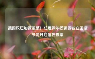 德国政坛加速重整！总理朔尔茨透露或在圣诞节前开启信任投票