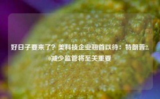 好日子要来了？美科技企业翘首以待：特朗普2.0减少监管将至关重要