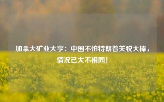 加拿大矿业大亨：中国不怕特朗普关税大棒，情况已大不相同！