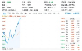 算力概念走强，中科曙光涨停！科技ETF（515000）上涨1.02%，机构：继续看好AI软硬件机会