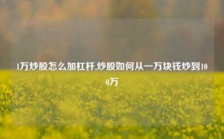 1万炒股怎么加杠杆,炒股如何从一万块钱炒到100万