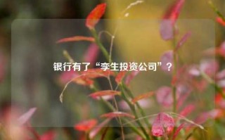 银行有了“孪生投资公司”？