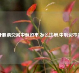 杠杆股票交易中航资本.怎么注册,中航资本网站