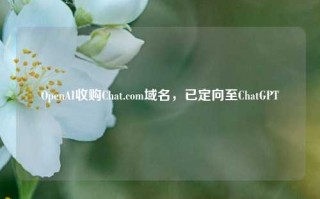 OpenAI收购Chat.com域名，已定向至ChatGPT