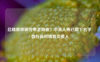 总精算师被传带走调查？中英人寿已撤下名字 委任临时精算负责人