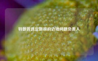 特朗普选定新政府边境问题负责人