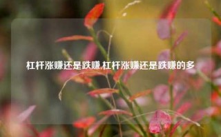 杠杆涨赚还是跌赚,杠杆涨赚还是跌赚的多