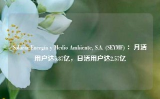 Solaria Energía y Medio Ambiente, S.A. (SEYMF) ：月活用户达5.87亿，日活用户达2.57亿