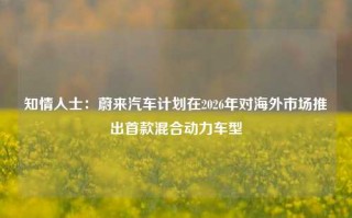 知情人士：蔚来汽车计划在2026年对海外市场推出首款混合动力车型