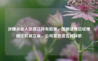 涉嫌从业人员违法持有股票，国都证券总经理杨江权被立案，公司紧急宣告其辞职