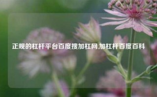 正规的杠杆平台百度搜加杠网,加杠杆百度百科