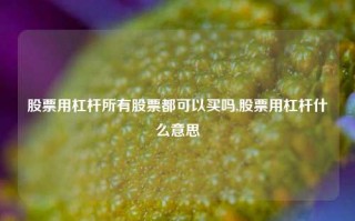 股票用杠杆所有股票都可以买吗,股票用杠杆什么意思