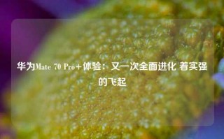 华为Mate 70 Pro+体验：又一次全面进化 着实强的飞起