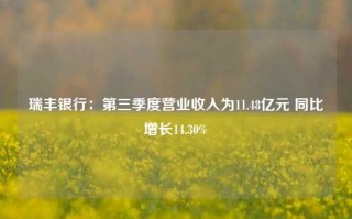 瑞丰银行：第三季度营业收入为11.48亿元 同比增长14.30%