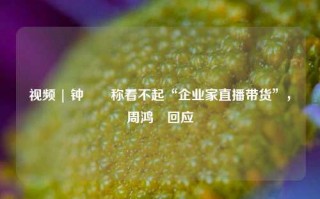 视频 | 钟睒睒称看不起“企业家直播带货”，周鸿祎回应