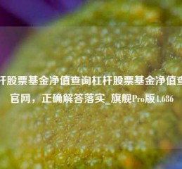 杠杆股票基金净值查询杠杆股票基金净值查询官网，正确解答落实_旗舰Pro版4.686