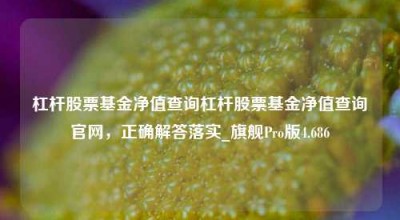 杠杆股票基金净值查询杠杆股票基金净值查询官网，正确解答落实_旗舰Pro版4.686